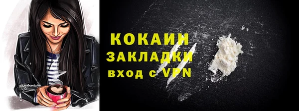 индика Аркадак