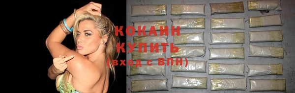 индика Аркадак