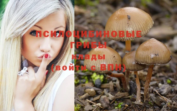мескалин Баксан