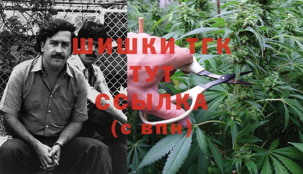 индика Аркадак