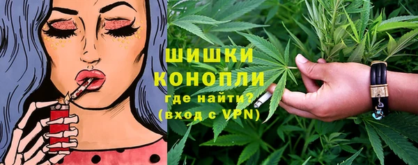 индика Аркадак