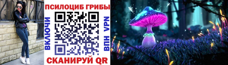 Купить где  Суворов  Галлюциногенные грибы Magic Shrooms 
