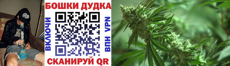 Купить где  Суворов  Марихуана индика 